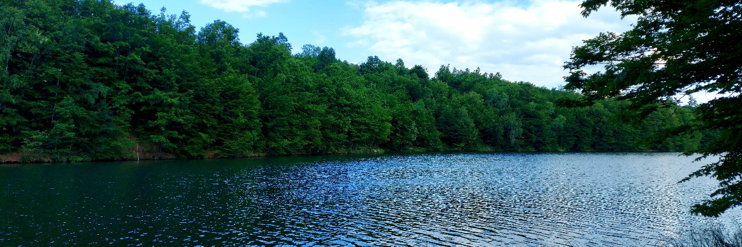 Дражен 🕊️🇷🇸🇳🇵 banner