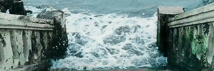 JarochoColumnas's profile banner image