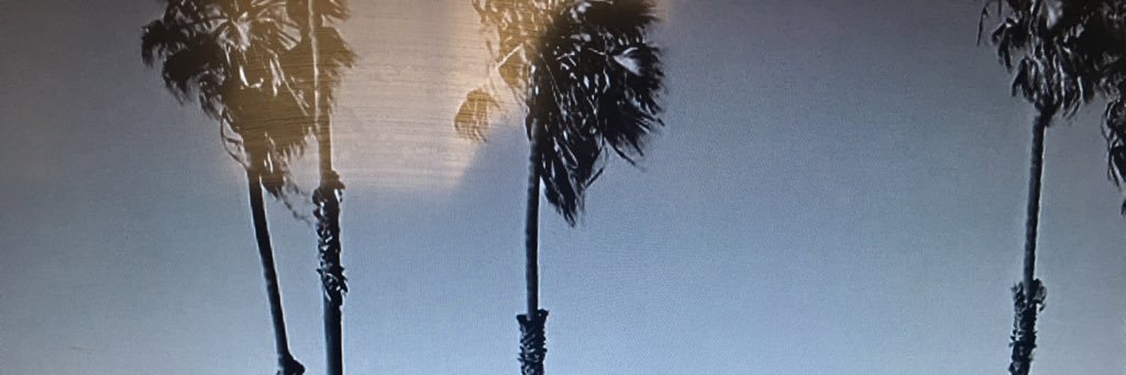 MercedesYoCo's profile banner image