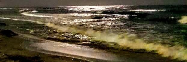 Gaia🤍⭐⭐⭐🖤 banner