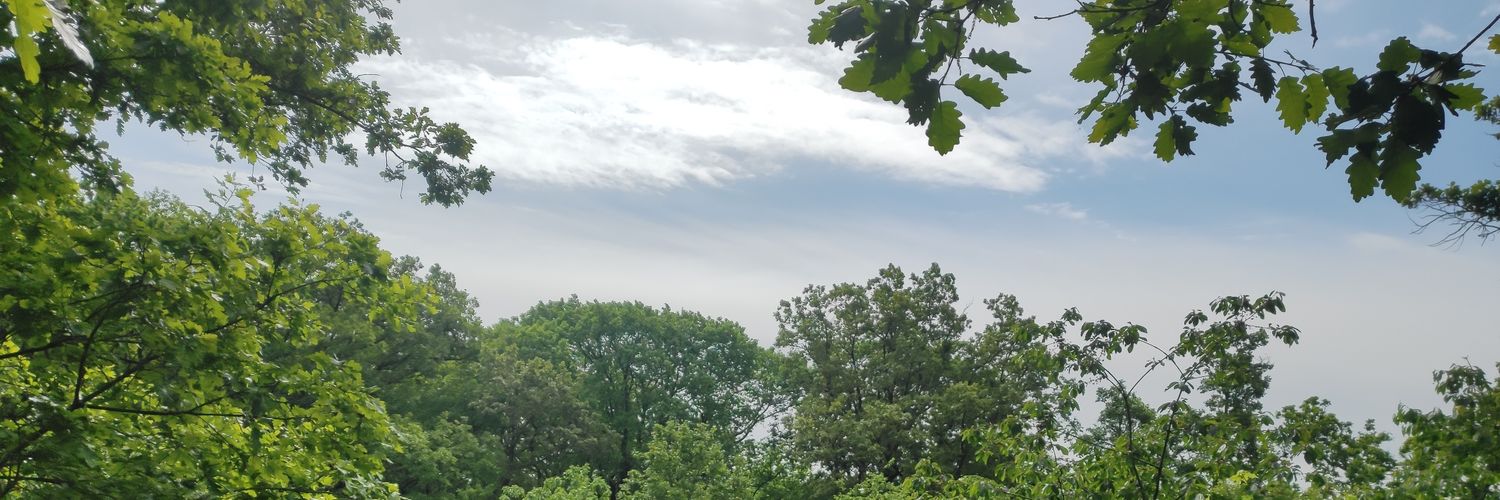 noshiTHC's profile banner image
