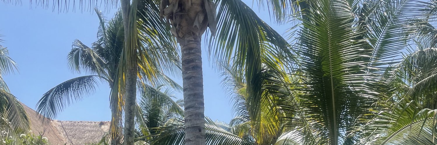 ashleystjohnox's profile banner image