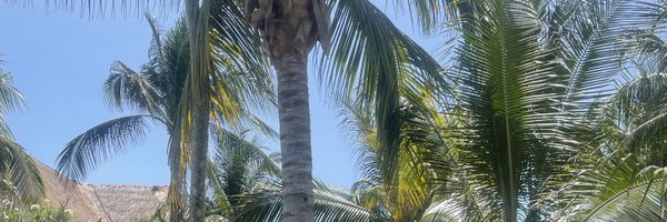 ashleystjohnox Profile Banner