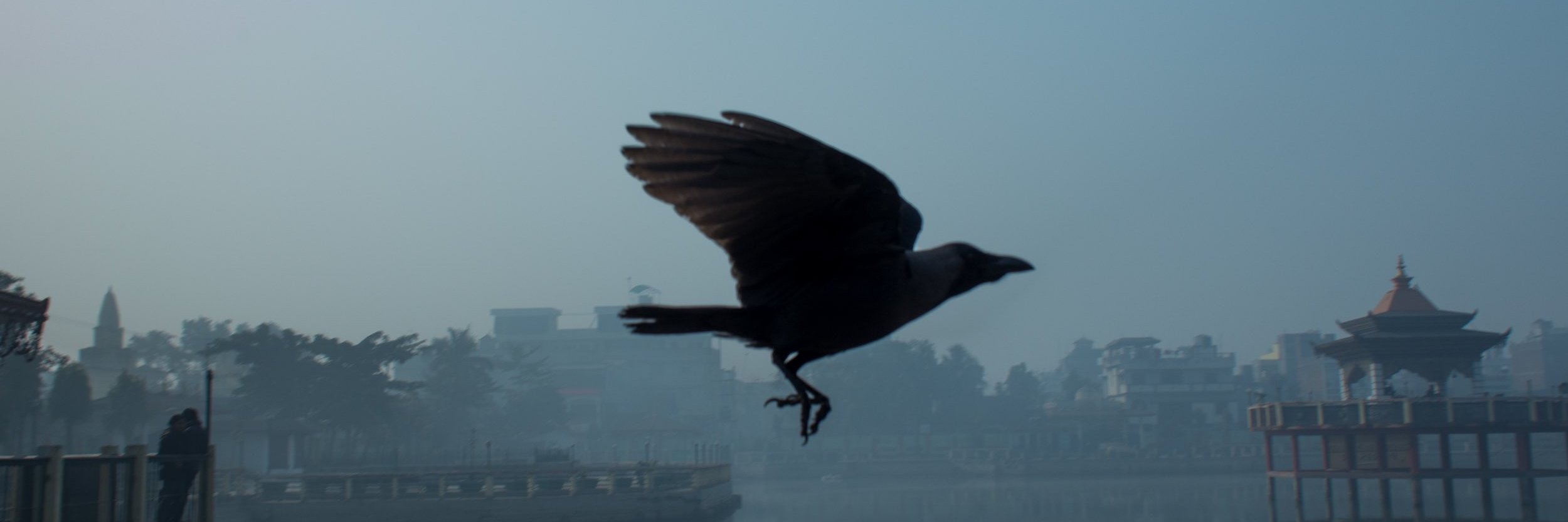 RecordNepali's profile banner image
