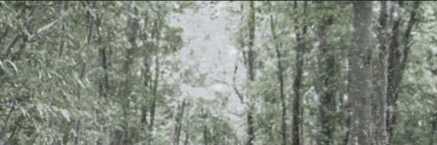 toritillas's profile banner image