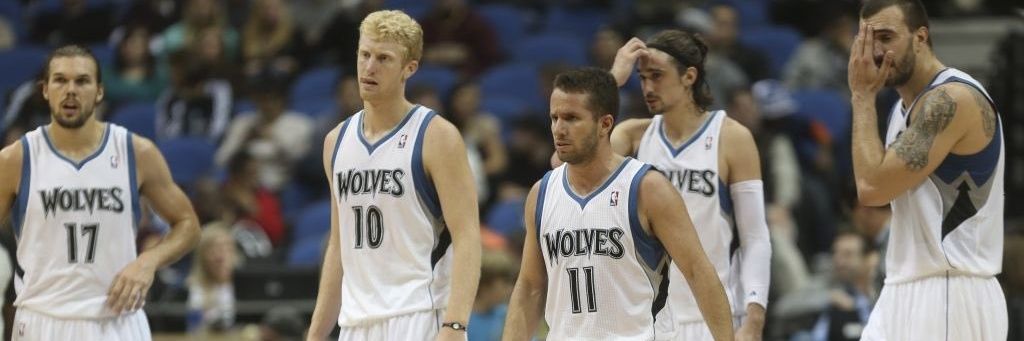TWolves Hoops banner