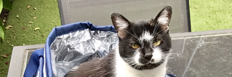 LizaLucas99's profile banner image