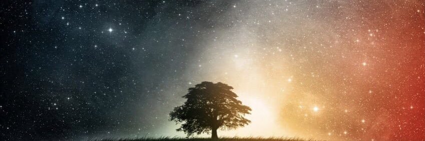 cotyhowdyshell's profile banner image