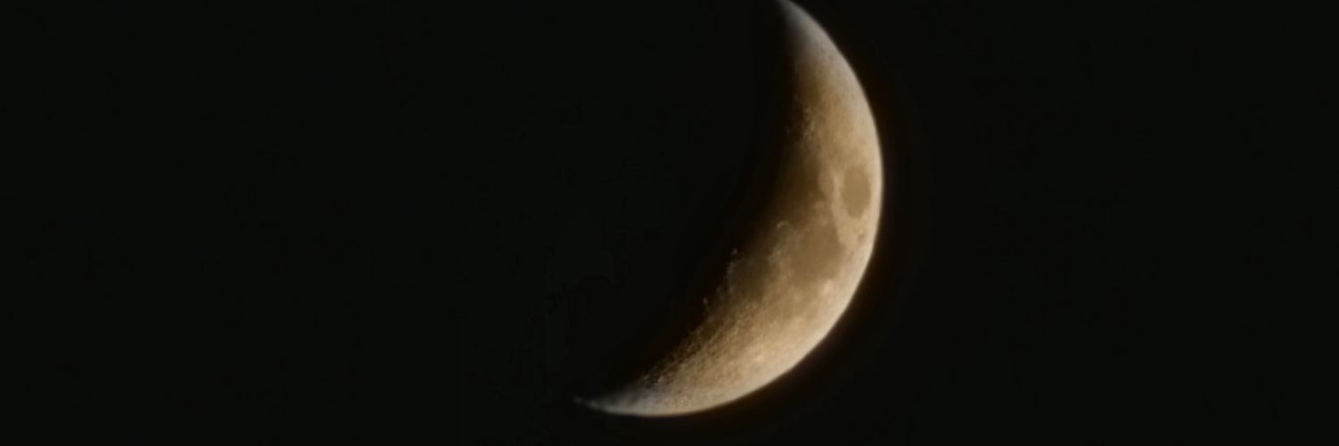 Stefano Mapelli banner