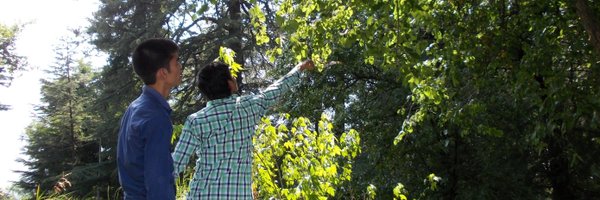 DroidTechKnow Profile Banner