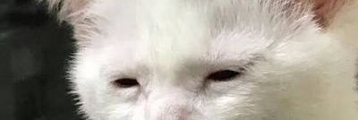sftmhaha's profile banner image