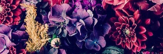 a_j_l_5's profile banner image