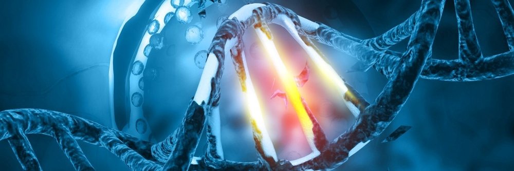 Thomas P. Kole, M.D., Ph.D banner