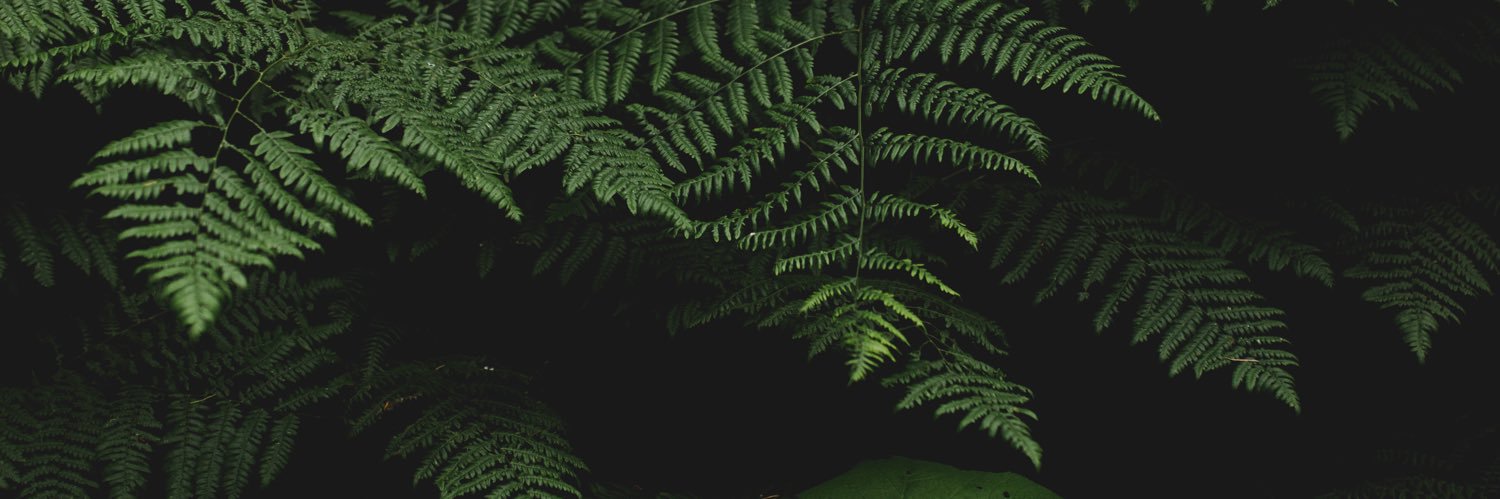 lyssamccon's profile banner image