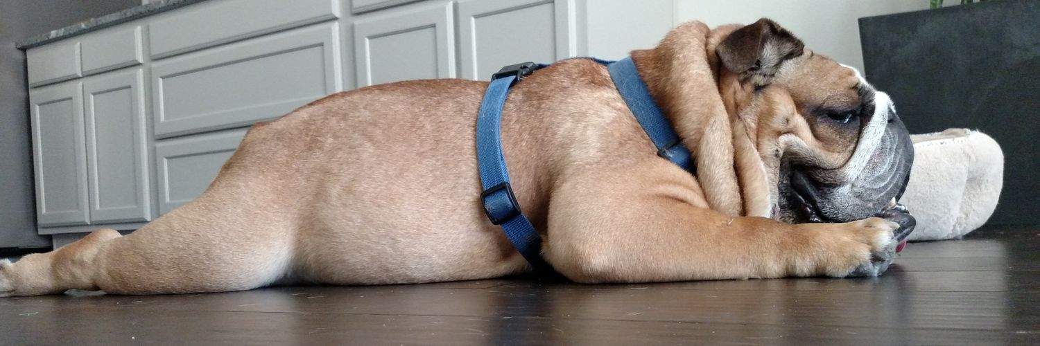CHSTed's profile banner image