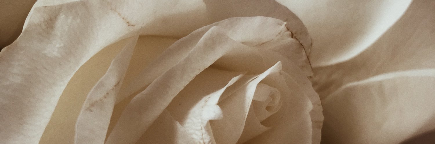 _Stupakova_'s profile banner image