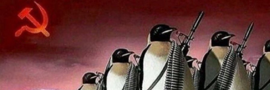 NegroCaracha's profile banner image