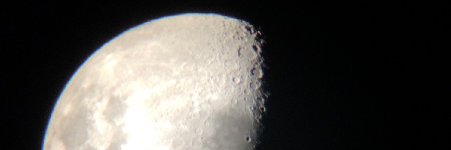 MakoLynx's profile banner image