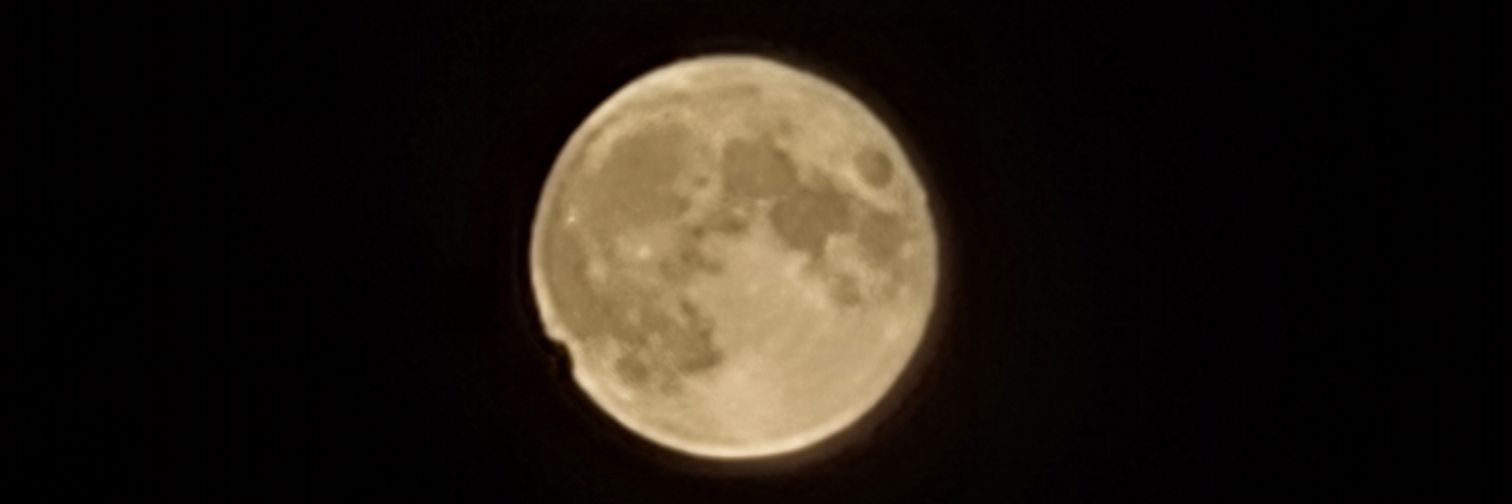 rebeccasd86's profile banner image