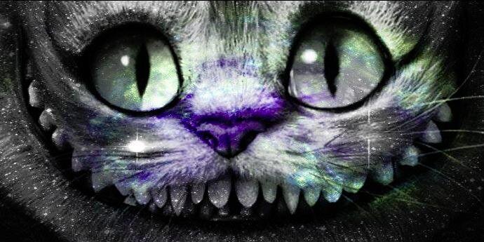 AnaM_Bastidas's profile banner image