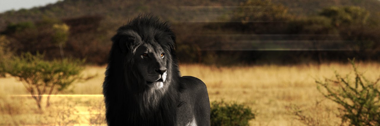 VermaSaab64's profile banner image