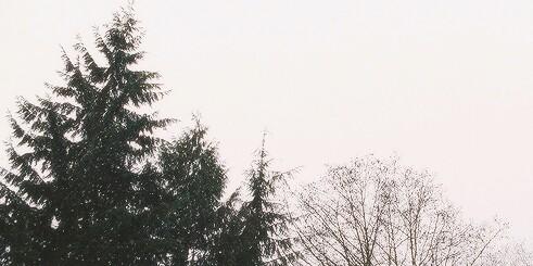 Unread_Mind's profile banner image