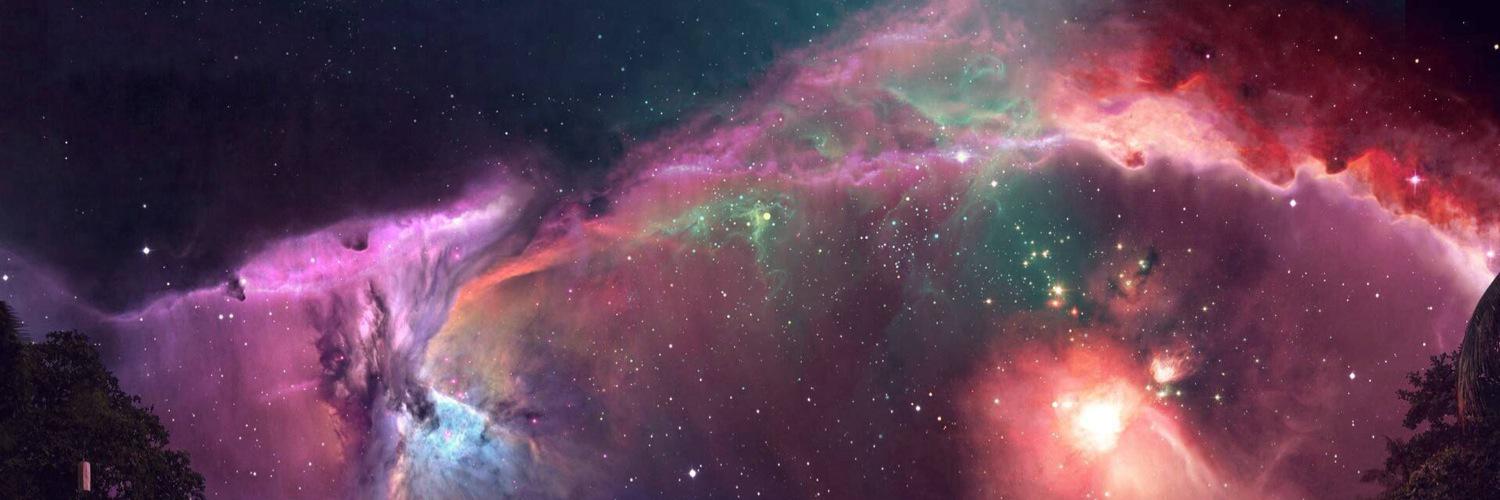 тимоти шалаве banner
