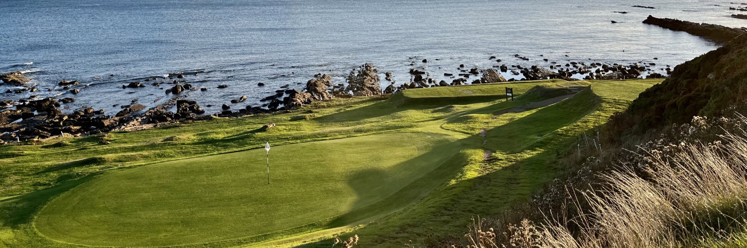 Craig Fergusson banner