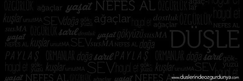 duslerindeo's profile banner image