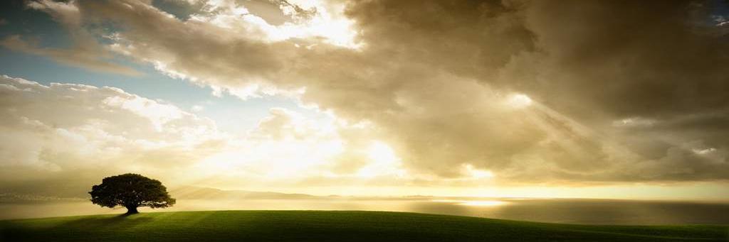 fraccaitingpi11's profile banner image