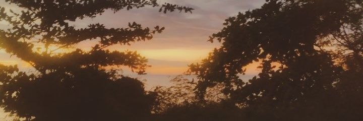 batchoijisu's profile banner image