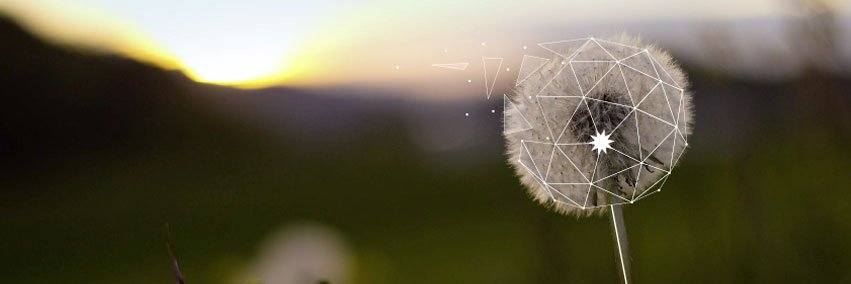 easytechgreen banner