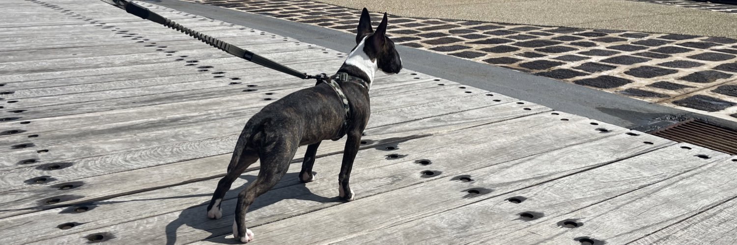 Indee Hopkins banner