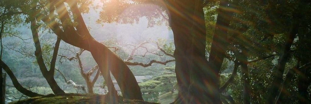 corwin_ofamber's profile banner image
