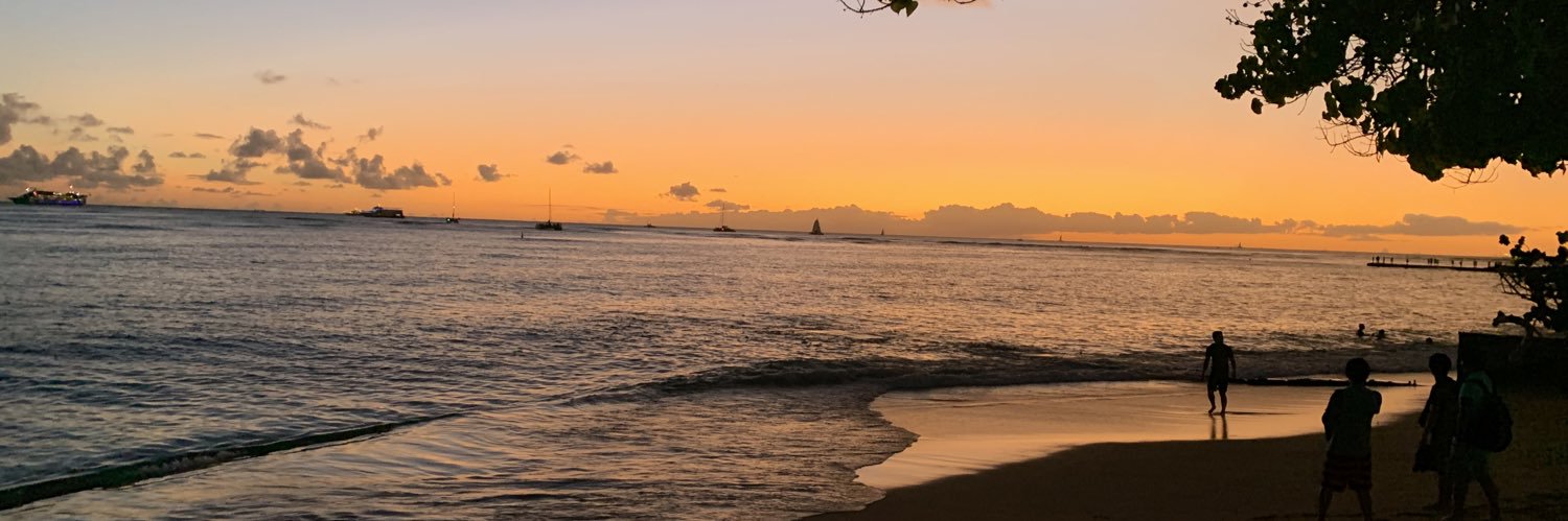 laik687's profile banner image