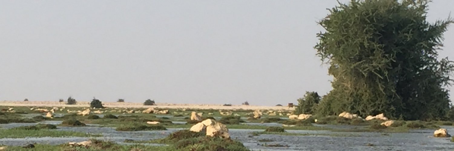 شريده عبدالله البنعلي المهندي banner