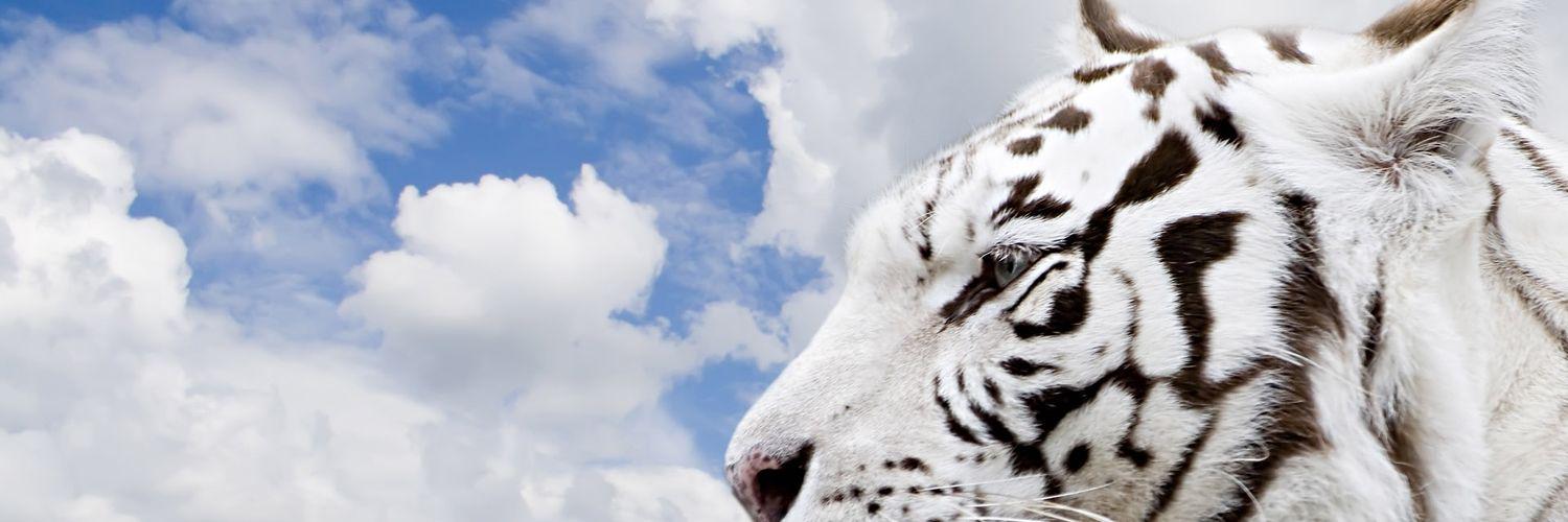 holasoyyo69's profile banner image