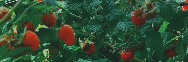 ER_Diffindo Profile Banner