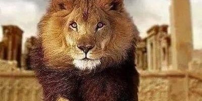 raniit7's profile banner image