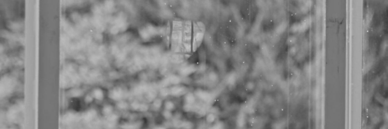daisy_grrrl's profile banner image