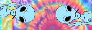 Gii_Regolin's profile banner image