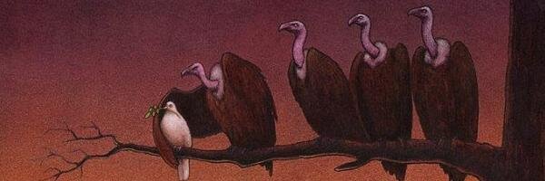 castocolina's profile banner image