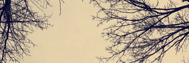 LibbyUtnage's profile banner image