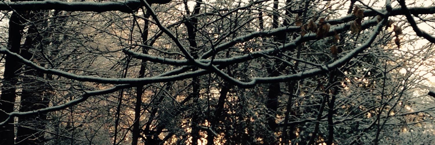 klouey6's profile banner image