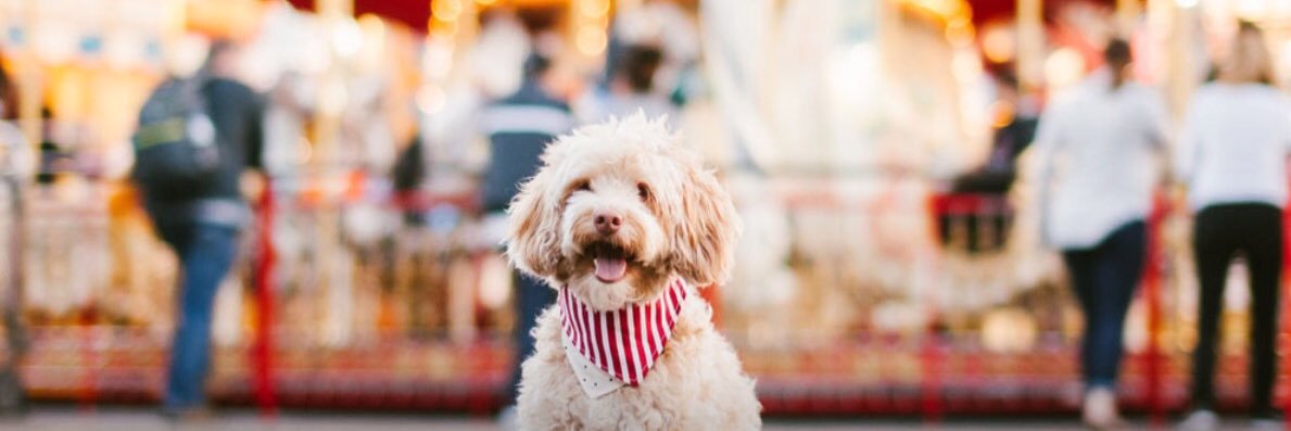 Dog Parking - Puppy Parking banner