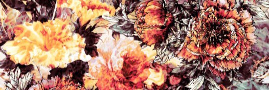ethanboothman's profile banner image