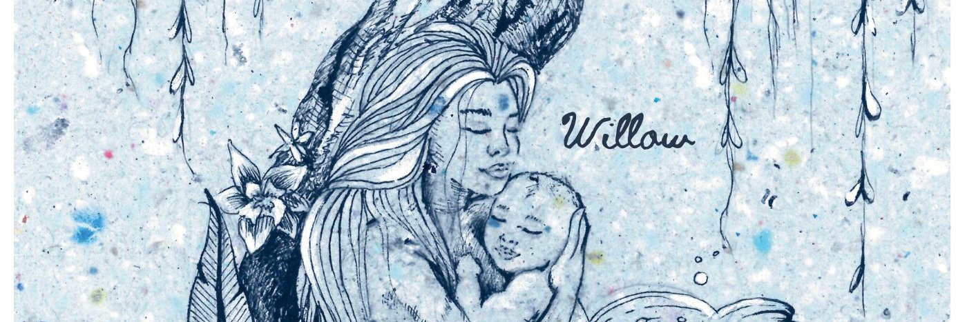 Jennifer McMahon banner