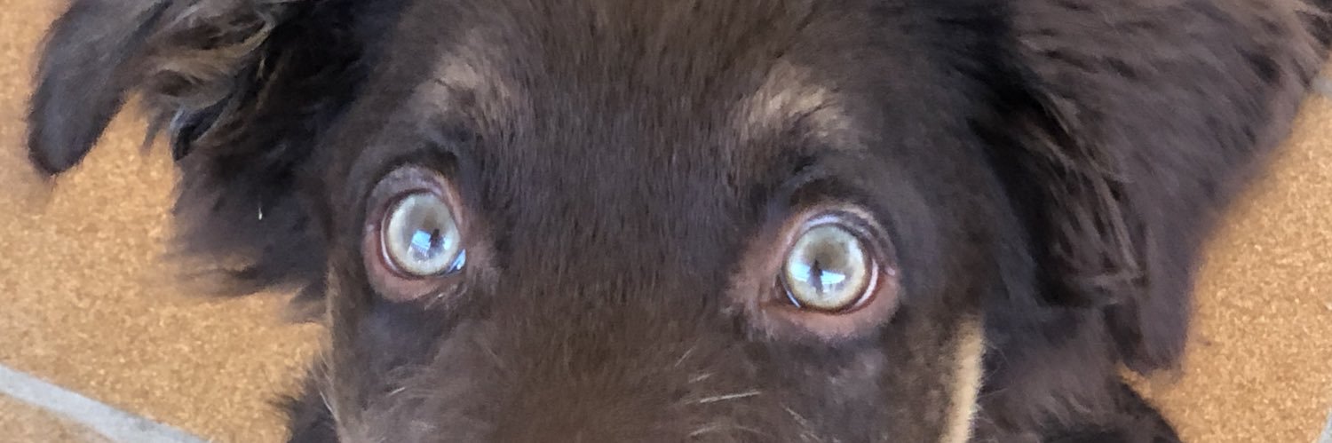 despertaferri's profile banner image