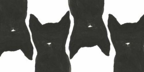 AsliHanTaskoy's profile banner image