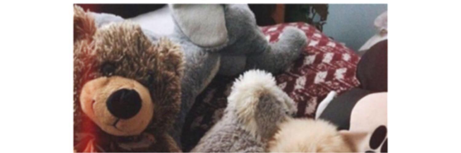bogurtleenn's profile banner image